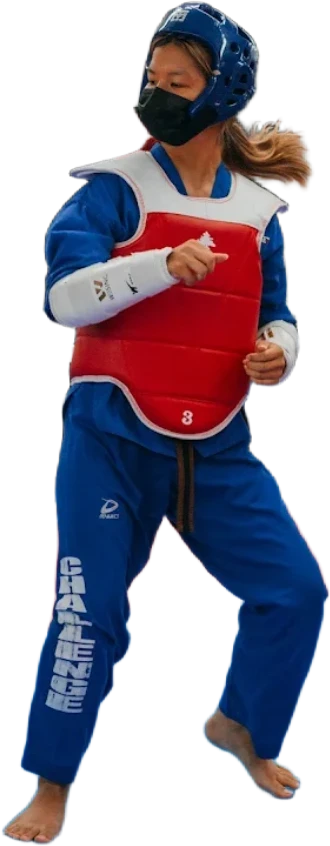 Adult Taekwondo (19+) class