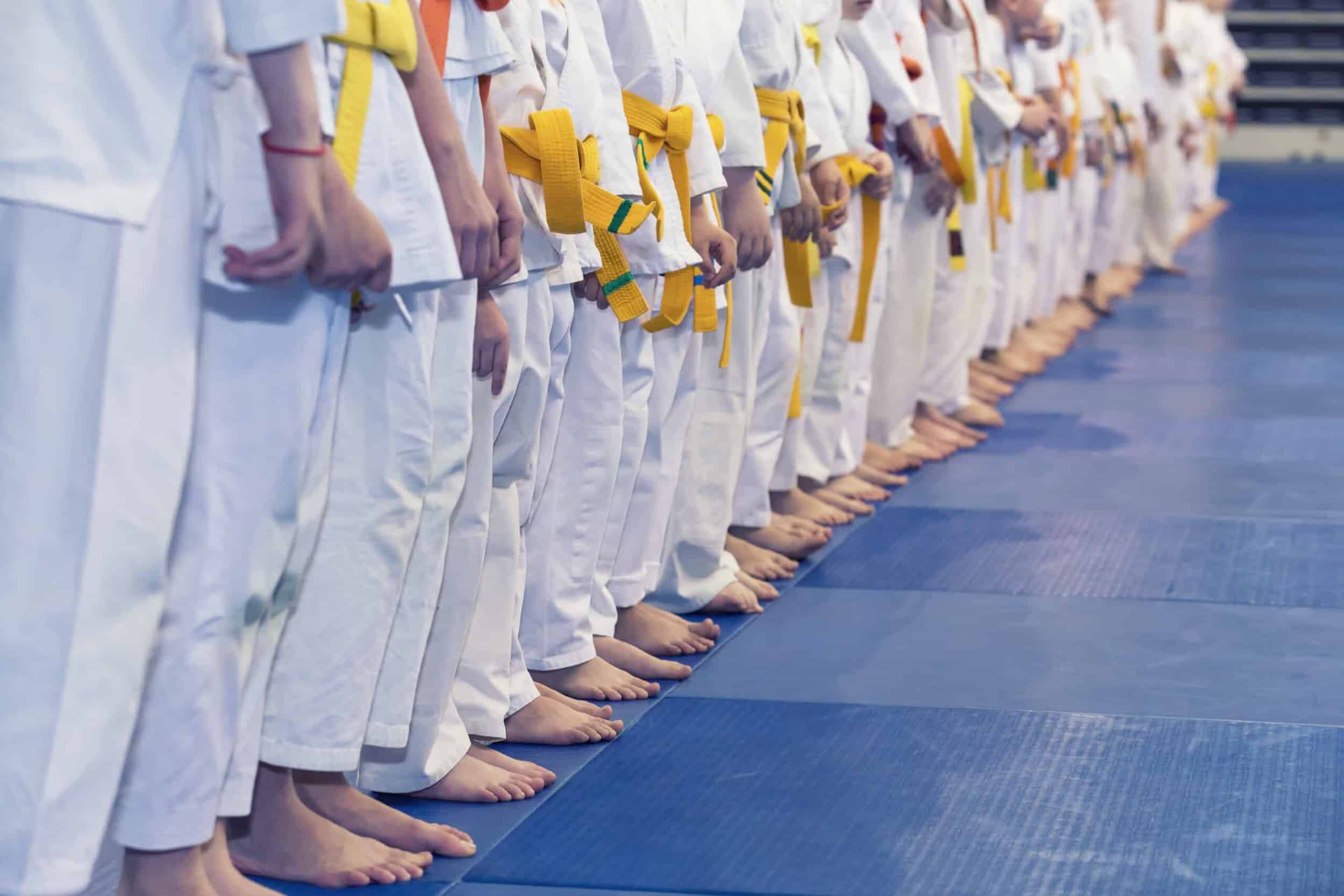 Challenge Taekwondo children standing in a line for martial arts training