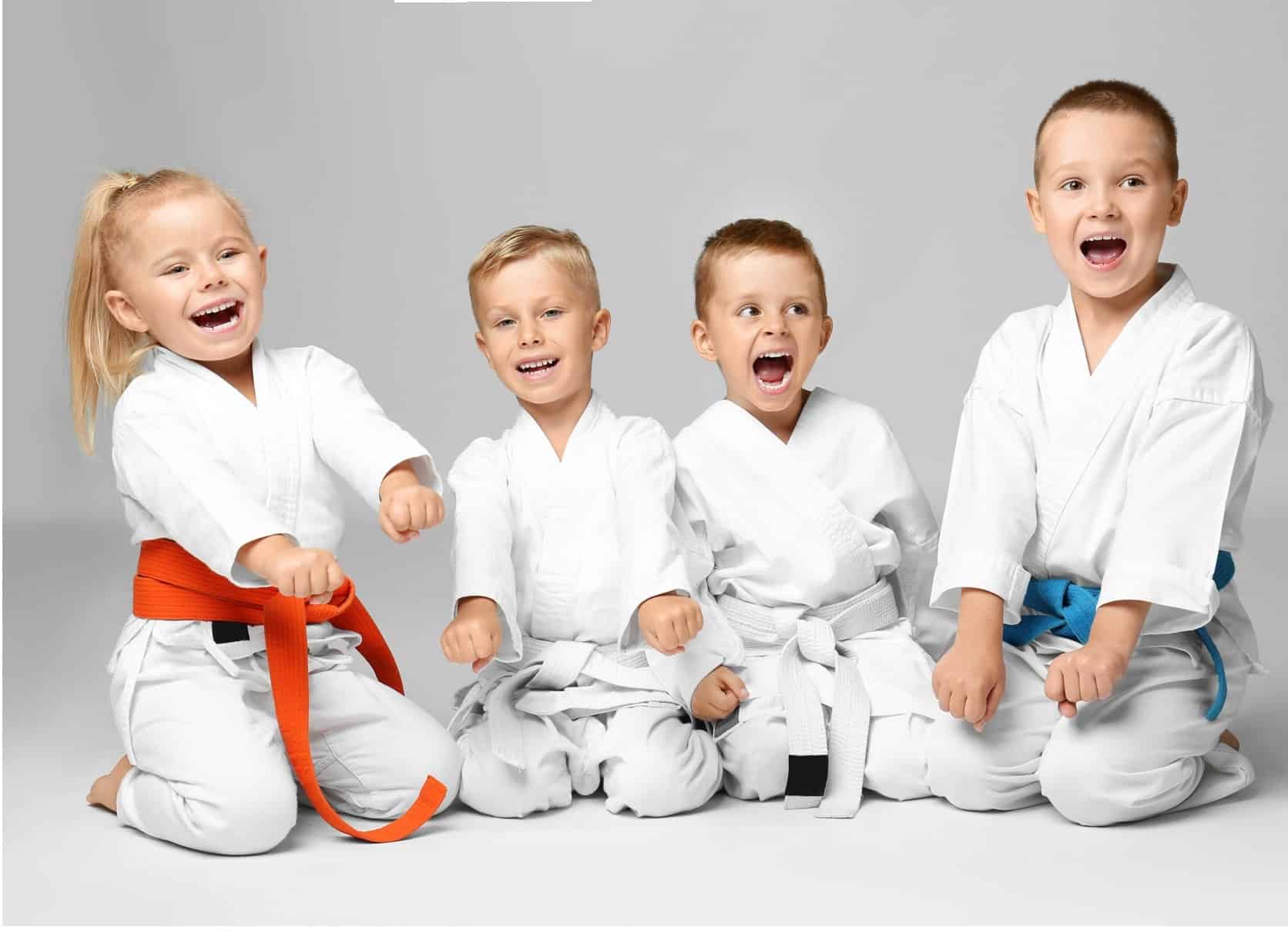 Challenge Taekwondo Center Memberships image