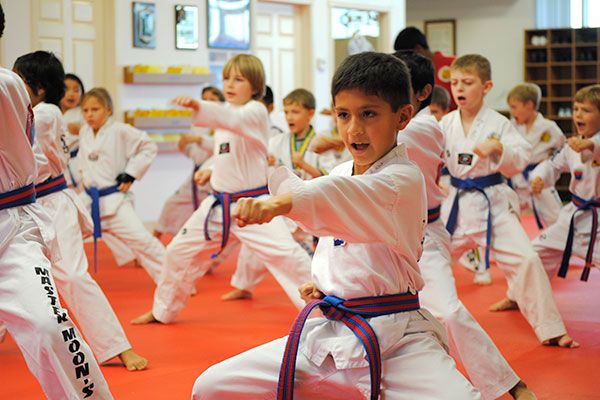 Challenge Taekwondo Center Programs image